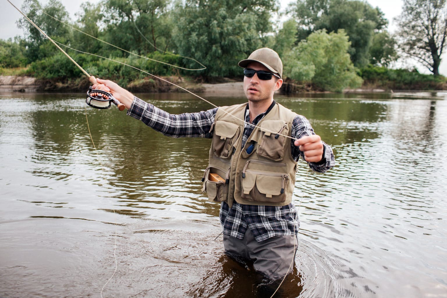 What Birds Are Waders